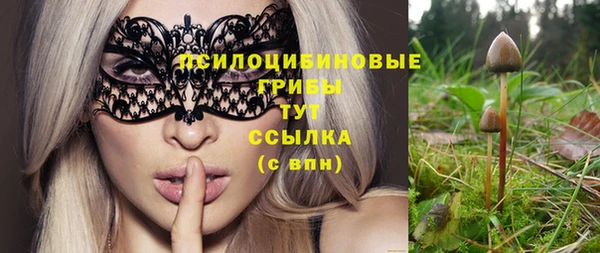 шишки Алексеевка