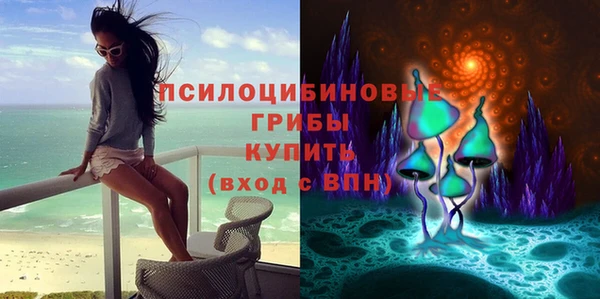 шишки Алексеевка