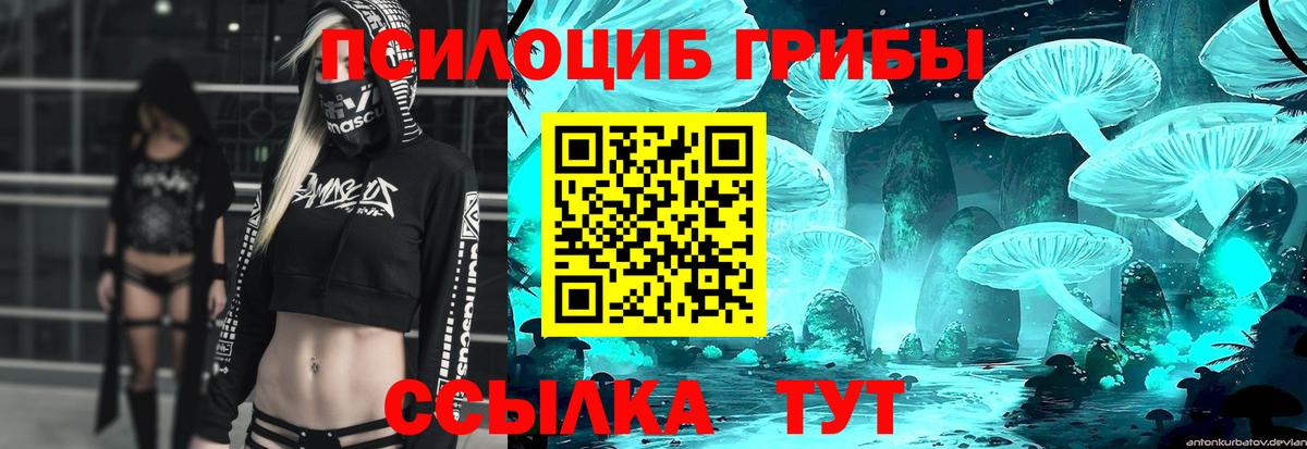Еманжелинск  Псилоцибиновые грибы Cubensis  Вход с VPN 