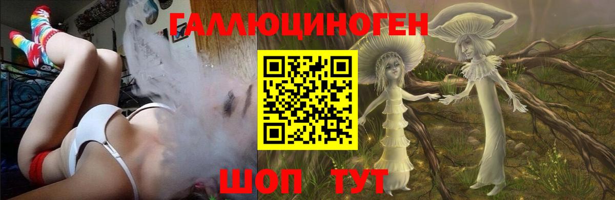 Галлюциногенные грибы Psilocybine cubensis Еманжелинск